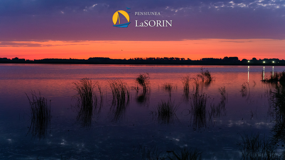 Hotel near Danube Delta – Pensiunea La Sorin, Murighiol
