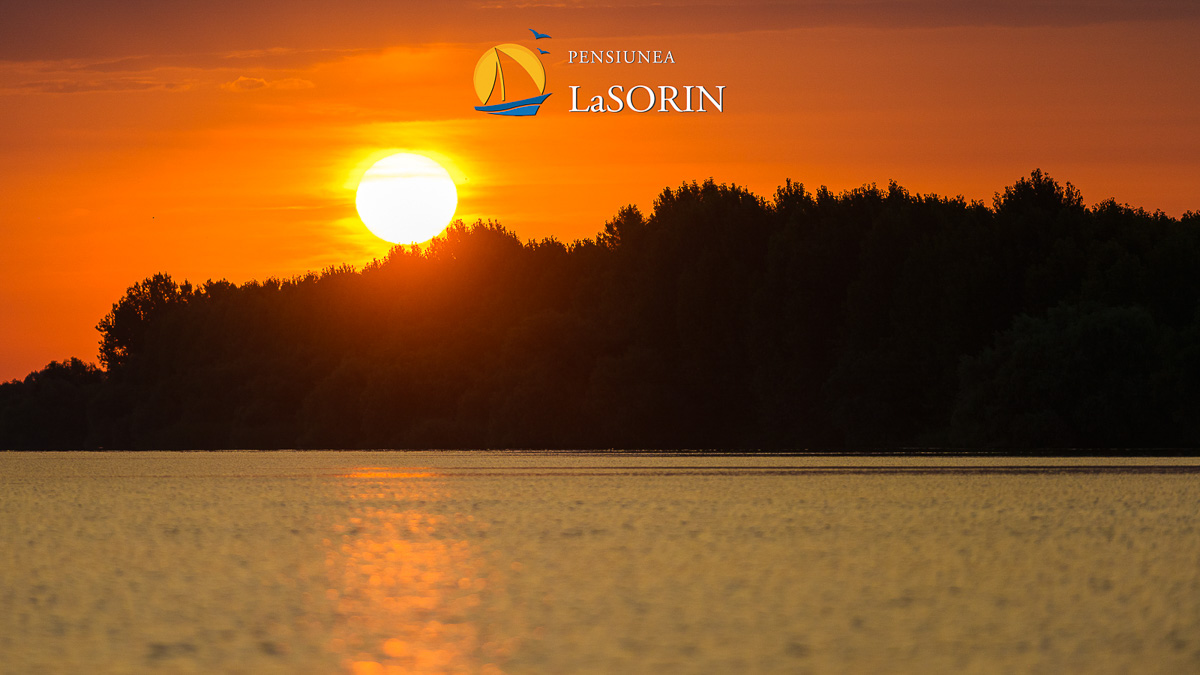 pensiunea-la-sorin-cazare-murighiol_piscina_.0168
