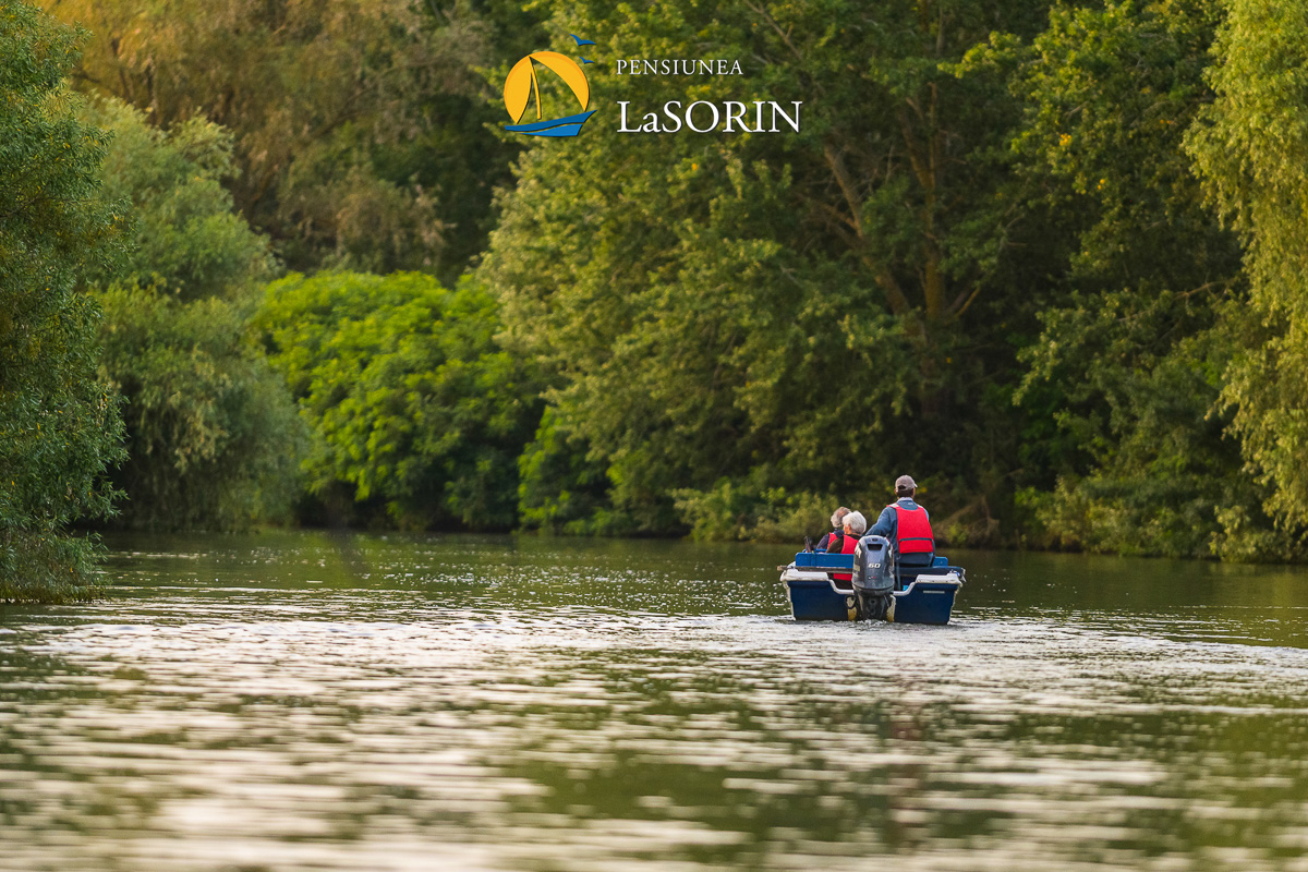 pensiunea-la-sorin-cazare-murighiol_piscina_.0171