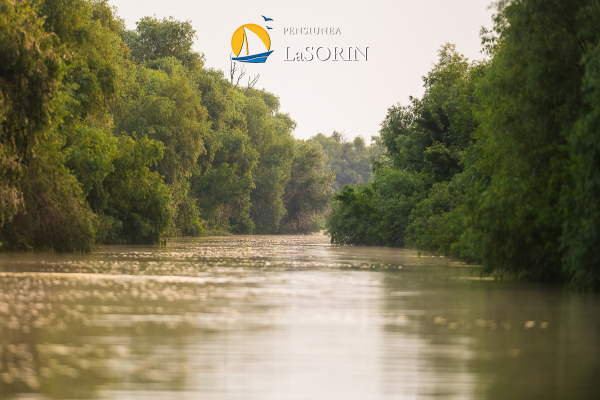 pensiunea-la-sorin-cazare-murighiol_piscina_.0178