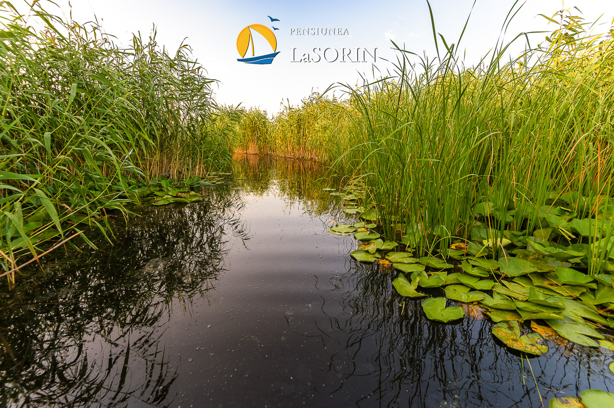 pensiunea-la-sorin-cazare-murighiol_piscina_.0198