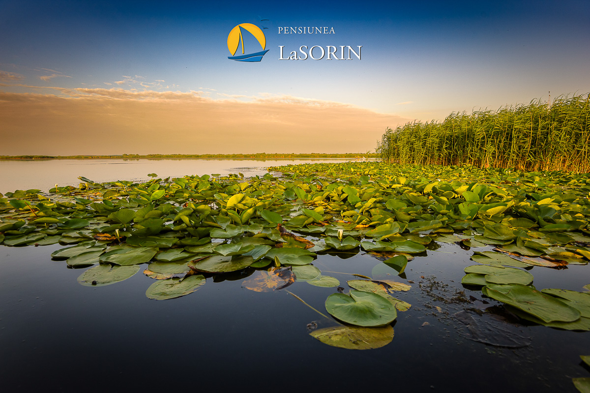 pensiunea-la-sorin-cazare-murighiol_piscina_.0201