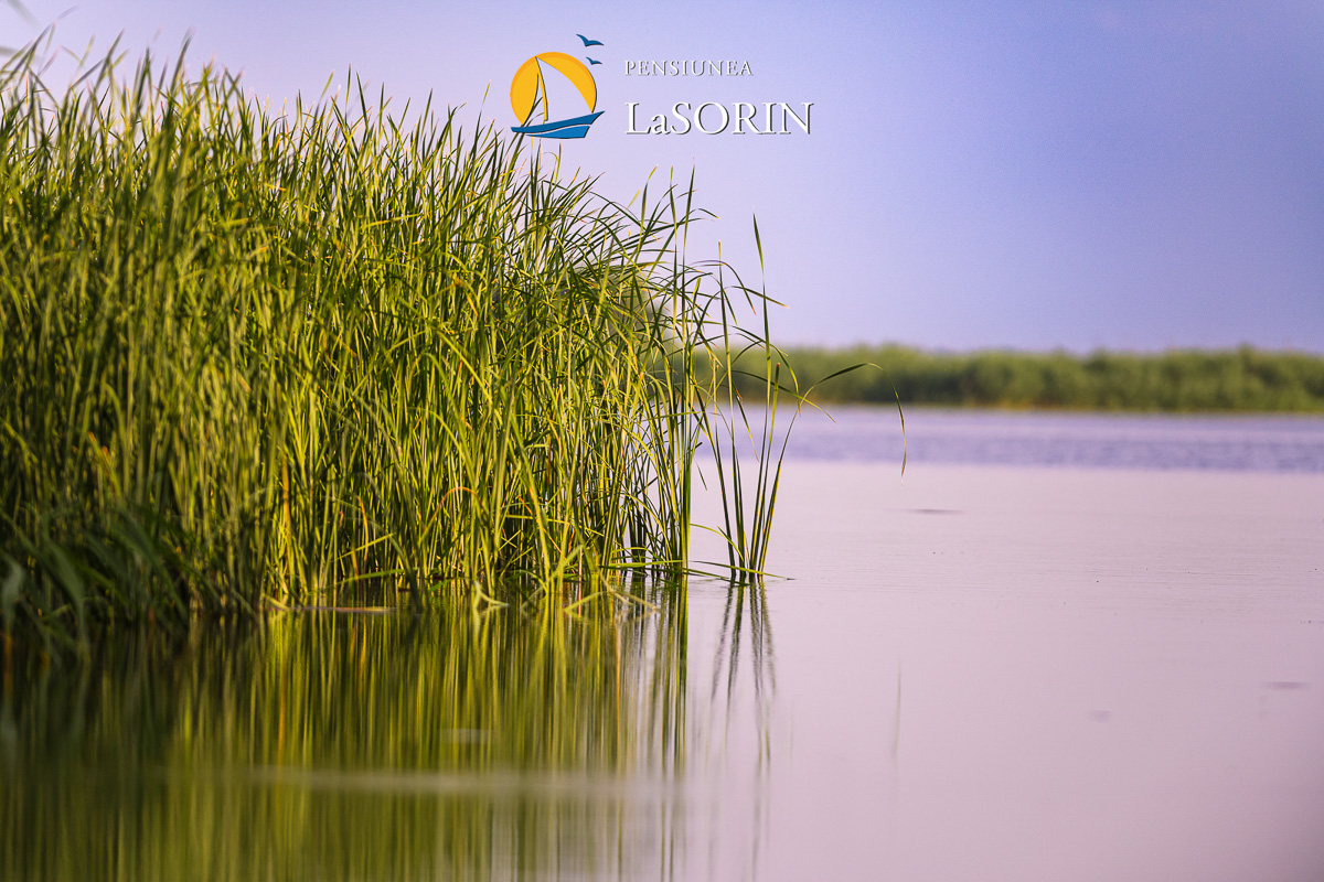 pensiunea-la-sorin-cazare-murighiol_piscina_.0215
