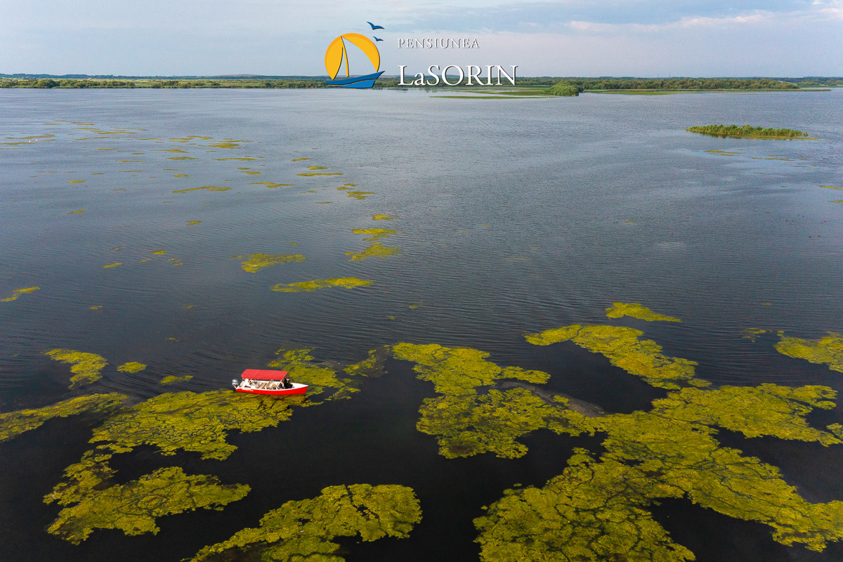 pensiunea-la-sorin-cazare-murighiol_piscina_.0219